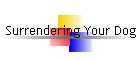 Surrendering Your Dog