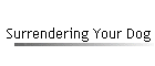 Surrendering Your Dog